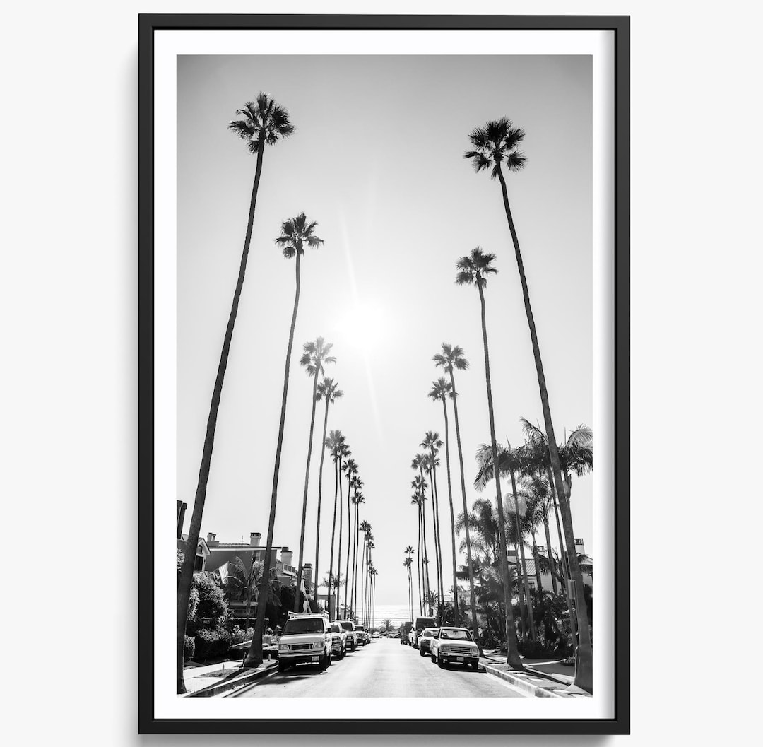 California Palm Trees to Beach Black and White Photo, Newport Beach ...
