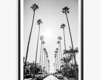 California Palm Trees to Beach Black and White Photo, Newport Beach Palm Trees, Los Angeles Print, California Wall Art, Orange County Beach