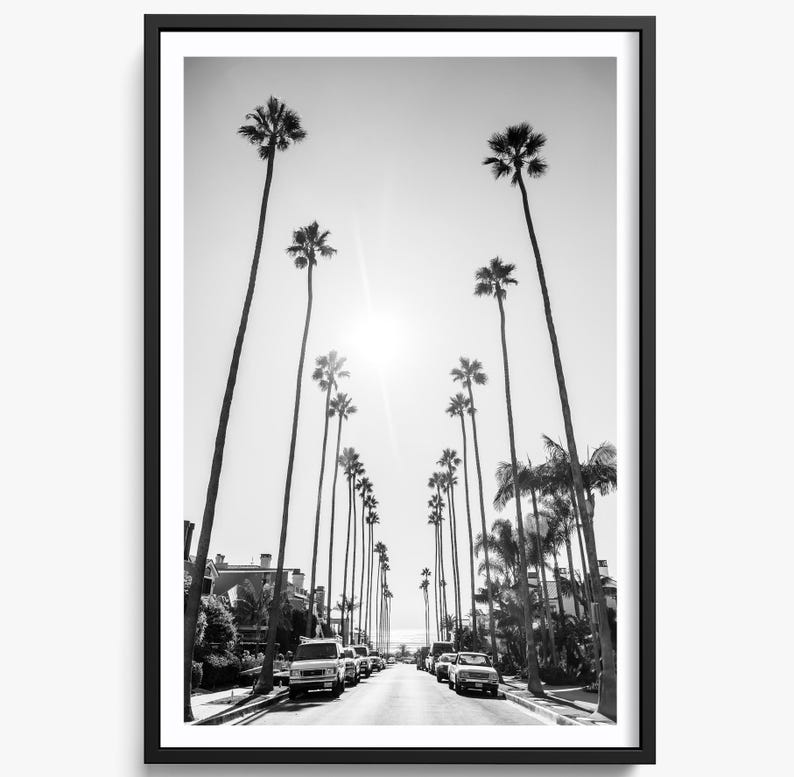 California Palm Trees to Beach Black and White Photo, Newport Beach ...