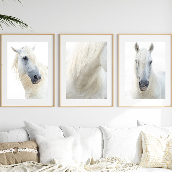 Mur de la galerie cheval blanc, photographie de cheval sauvage, impression cheval Camargue, déco cheval, photo cheval blanc, tirages d'art cheval