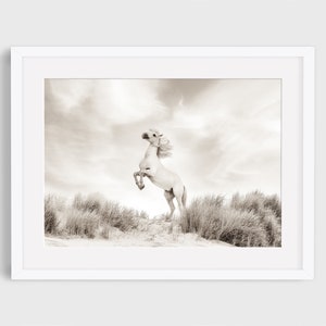Impresión de caballos salvajes, fotografía de naturaleza, fotografía de caballos blancos, impresión de caballos de Camarga, caballos blancos en el océano, impresión de caballos de bellas artes,
