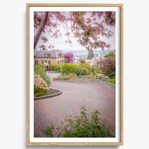 Lombard Street Print, San Francisco Photography, California Photography, San Fran Home Decor, San Francisco Wall Art,  Long Curvy Street