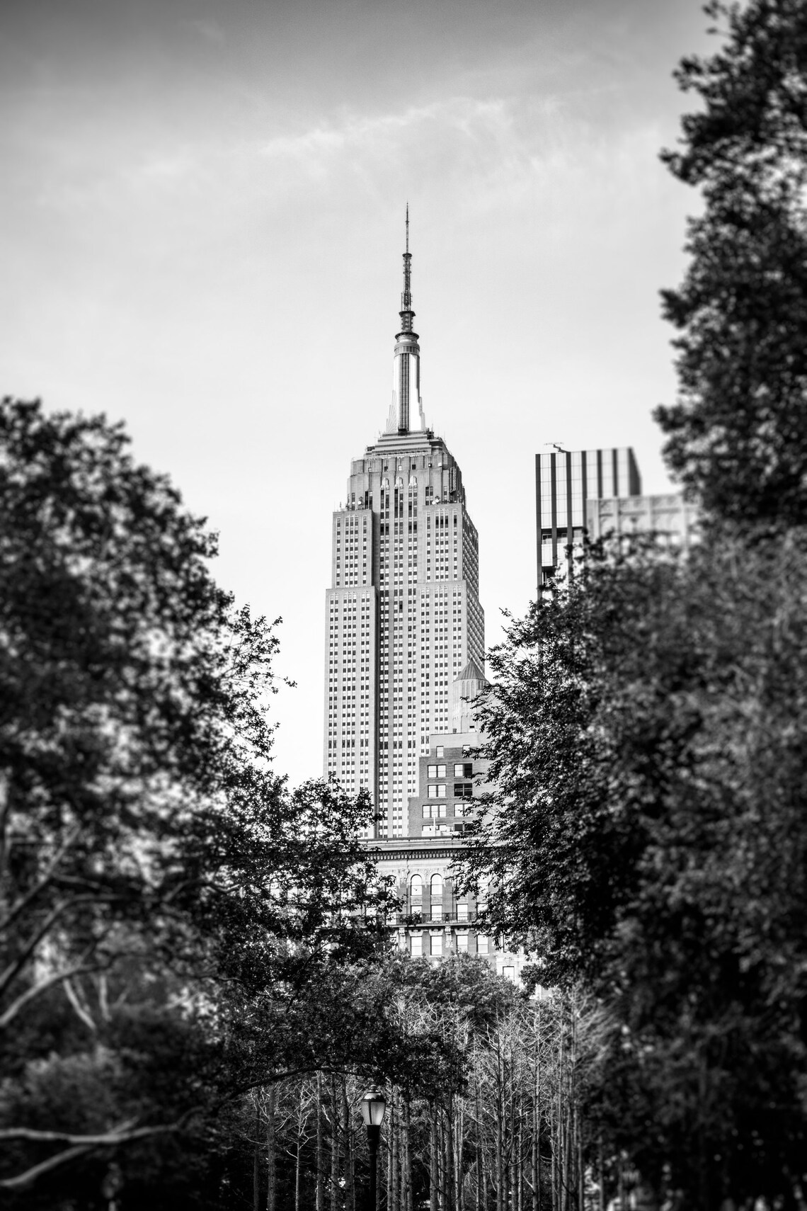 New York City Gallery Wall New York Wall Art Set NYC Photo Etsy