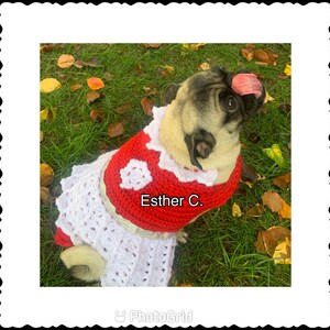 Puede incluir: Un perro carlino con un vestido de crochet rojo y blanco con un dise&ntilde;o de coraz&oacute;n y el texto "Esther C." en la parte delantera. El perro est&aacute; sentado en un lecho de hierba verde con hojas ca&iacute;das.