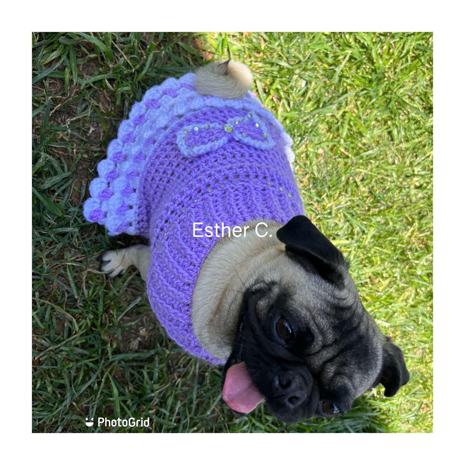 Dog Dress Pattern Crochet Dog Dress Pattern Only PDF INSTANT Etsy