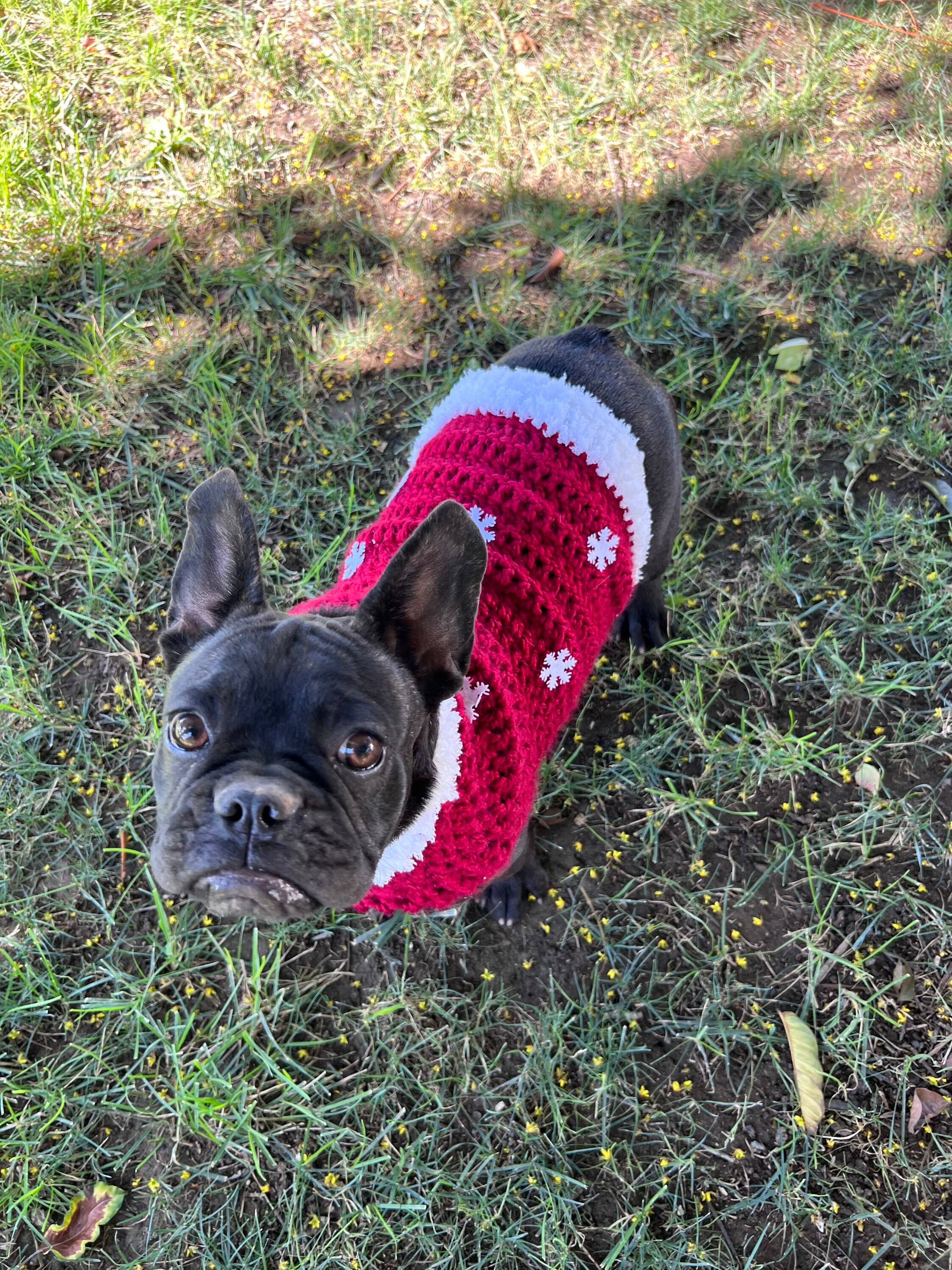 Crochet Christmas Dog Sweater PATTERN Only PDF Etsy