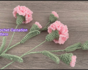 Crochet Carnations Flower PATTERN only PDF instant download Quick and Easy to make