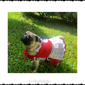 Puede incluir: Un pug con un vestido de crochet rojo y blanco. El vestido tiene una falda de crochet blanca y un corpi&ntilde;o de crochet rojo. El perro est&aacute; de pie sobre hierba verde. El texto "Esther C." est&aacute; escrito en el vestido.