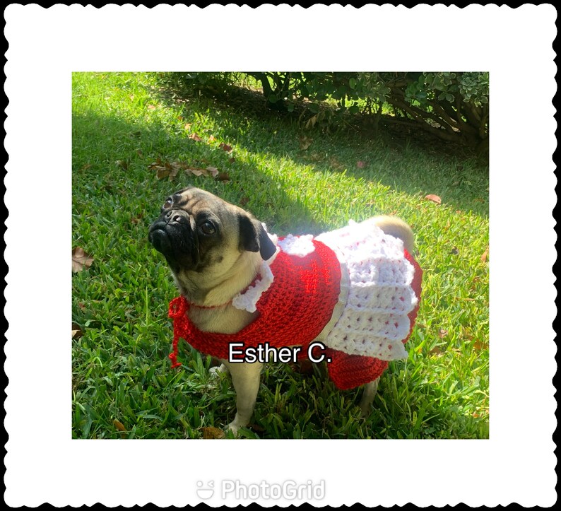 Puede incluir: Un pug con un vestido de crochet rojo y blanco. El vestido tiene una falda de crochet blanca y un corpi&ntilde;o de crochet rojo. El perro est&aacute; de pie sobre hierba verde. El texto "Esther C." est&aacute; escrito en el vestido.