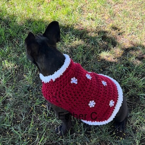 May include: A black French bulldog wearing a red crocheted dog sweater with white snowflake accents and a white fur trim.