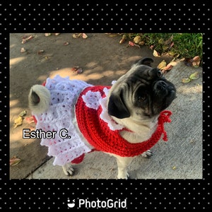 Puede incluir: Un perro pug con un vestido de crochet rojo y blanco con el texto "Esther C." en el vestido.