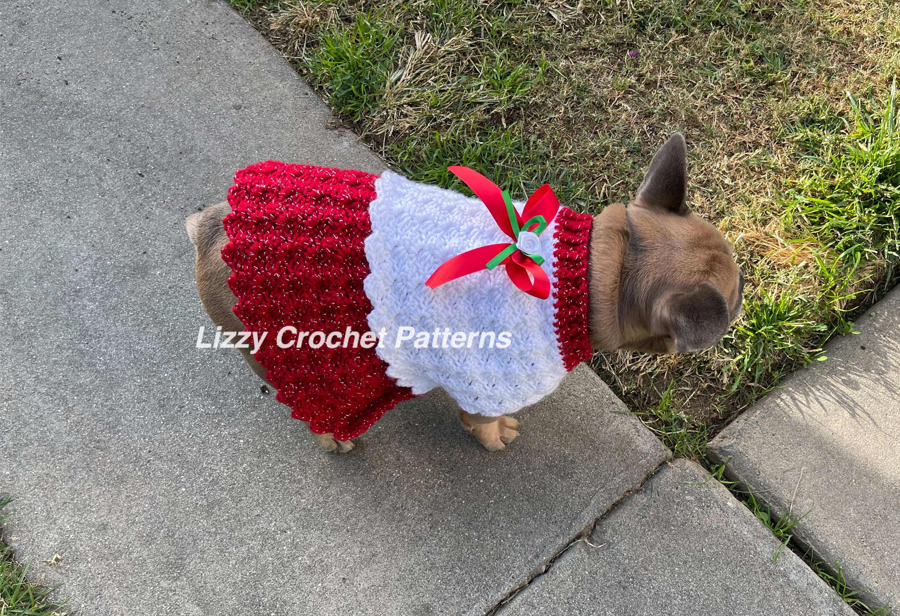 Christmas Dog Dress