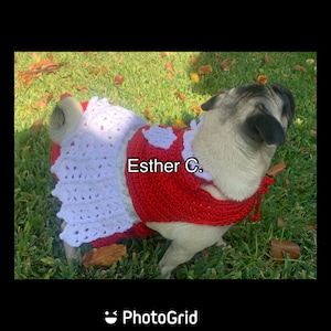 Crochet Christmas dog dress Pattern PDF in English and Español
