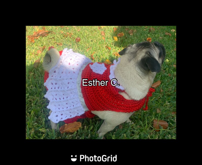 Puede incluir: Un perro pug con un su&eacute;ter de crochet rojo y blanco con el texto "Esther C." en la parte delantera. El perro est&aacute; sentado en la hierba verde.