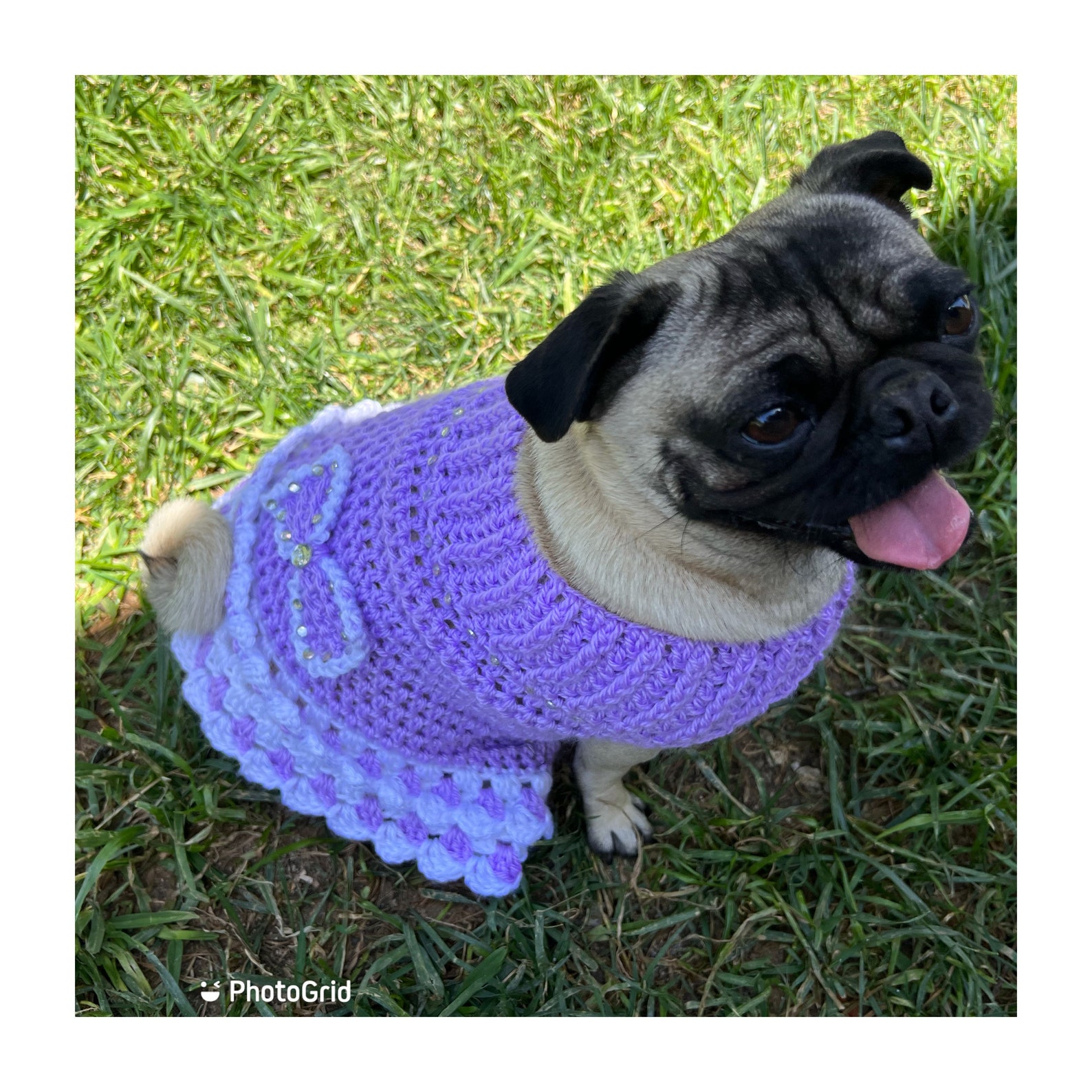 Dog Dress Pattern Crochet Dog Dress Pattern Only PDF INSTANT Etsy