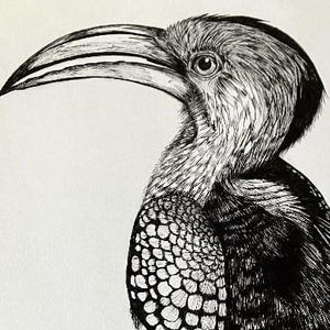 Animal Art commissions. Personalised ink drawings.