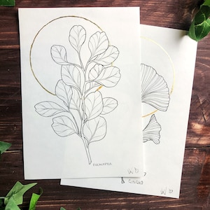 Custom Botanical Illustration