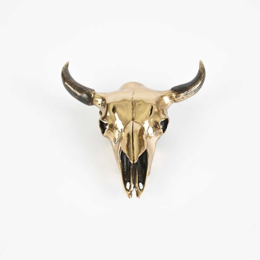 Bronze Buffalo Skull Etsy