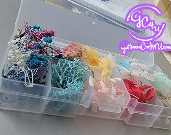 Dried Flowers in a Sturdy Re-Usable Box - Fantastic Value!