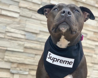 supreme puppy hoodie
