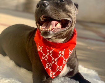 gucci dog bandana