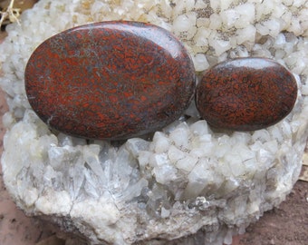 Pair of Dino Bone Cabochons Cut From The Same Slab