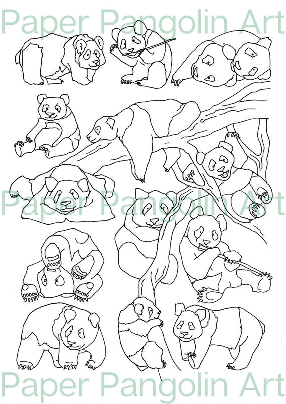 8600 Collection Coloring Pages Endangered Animals  Latest Free