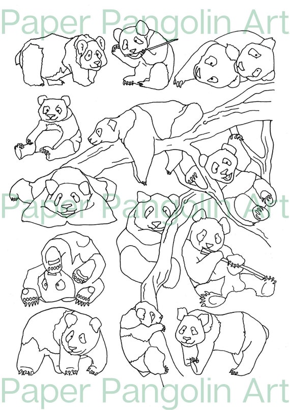 53 Endangered Animal Coloring Pages  Latest Free
