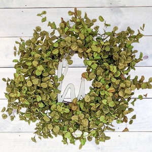 Eucalyptus Wreath | Hi Welcome Wreath | Spring Wreath | Everyday Wreath