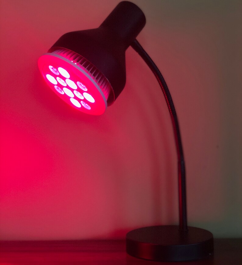LED Red Light Therapy Bulb 24W 660nm Red & 850nm Near Etsy