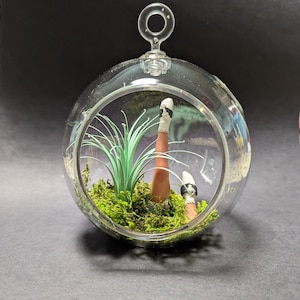 May include: A clear glass globe ornament with a green plant, moss, and a pair of legs with white socks and black shoes inside.