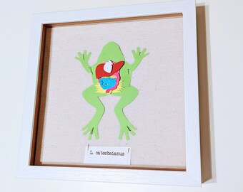 Dissected Frog Paper Art, Anatomical Frog Biology Gift, Grad Student Science Humor, Scientist Office Decor, High School Biology Teacher Aid