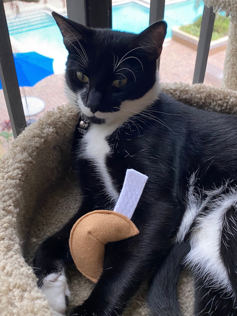 Fortune Cookie Cat Toy Catnip Handmade Cat Toy Custom Felt Etsy