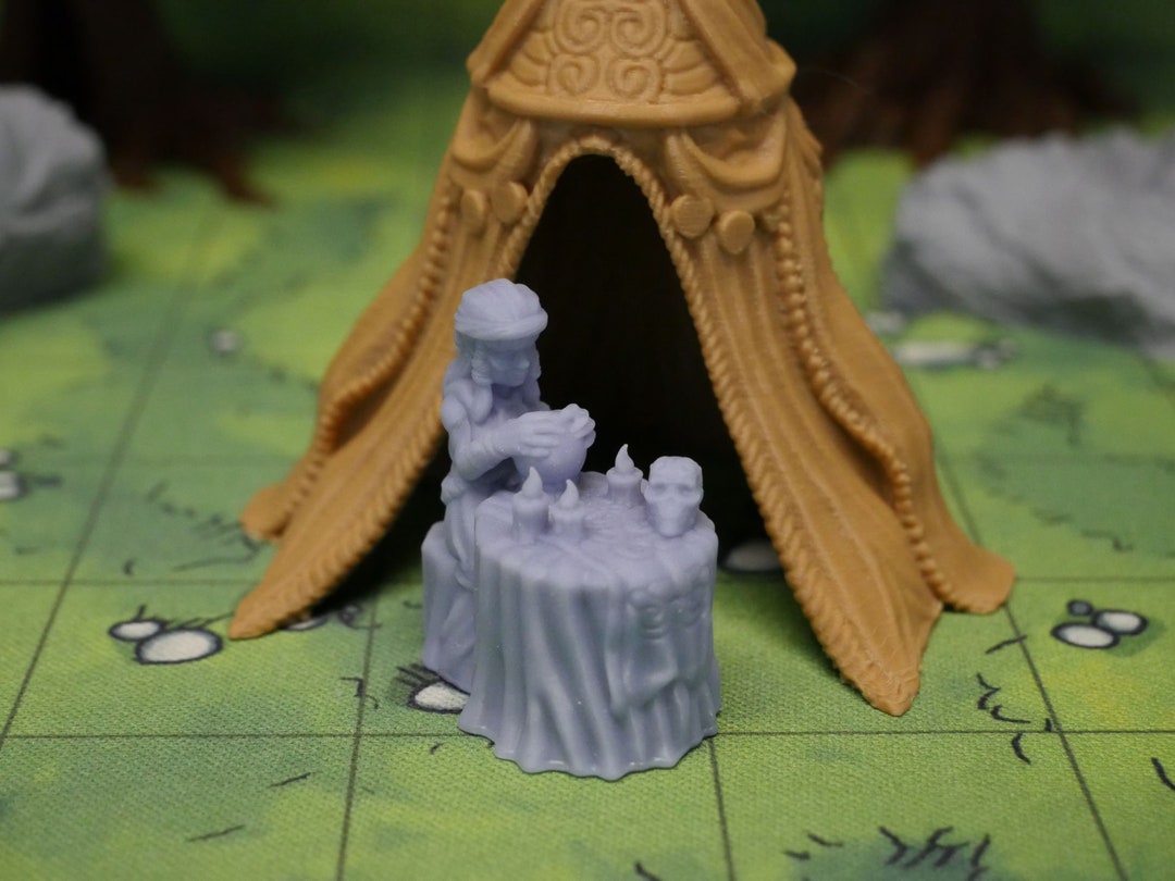 Dnd Miniature Fortune Teller Crimson Troupe Dungeons and Etsy