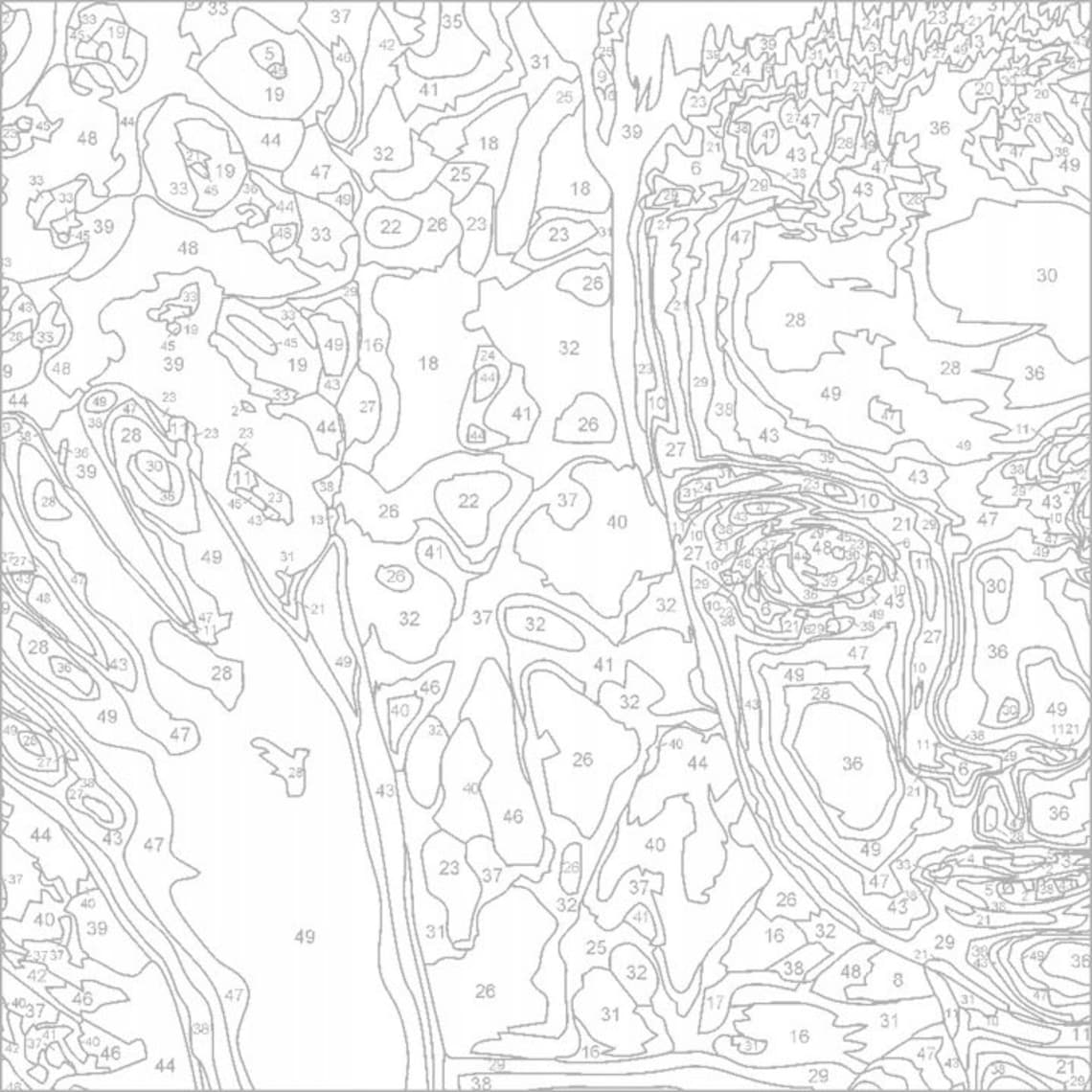 Paint by Numbers DIY Kit Painting by Number Art Paint by Numbers Canvas