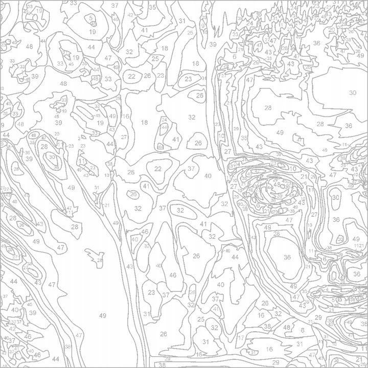 Paint by Numbers DIY Kit Painting by Number Art Paint by Numbers Canvas