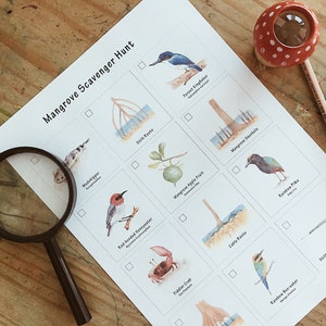 Mangrove Scavenger Hunt