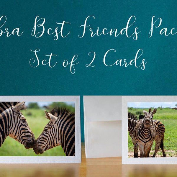 Zebra Best Friends Pack Horsin' Around Set of 2 Photo Greeting Cards 5x7