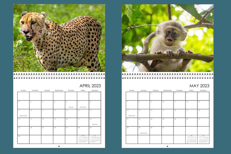 African Safari 2024 Premium Wall Calendar 10.5x16 Etsy