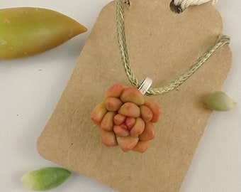 Succulent Necklace, Plant, Nature Necklace, Handmade, Polymer Clay