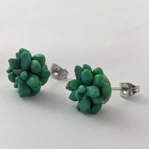 Green Succulent Stud Earrings w/hypoallergenic Posts, Plant, Nature Earrings, Handmade, Polymer Clay