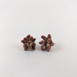 Succulent Stud Earrings w/hypoallergenic Posts, Plant, Nature Earrings, Handmade, Polymer Clay