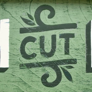 May include: A green wooden sign with white and black painted letters that read "H CUT F". The letters are stylized and have a whimsical design.