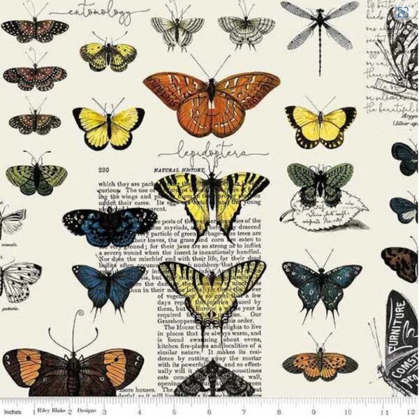Art Journal Butterflies Multicolor by Riley Blake Designs