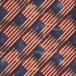 Multi American Flag Fabric by Timeless Treasures