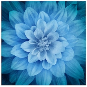 Dream Big Blue Dahlia Fabric Panel