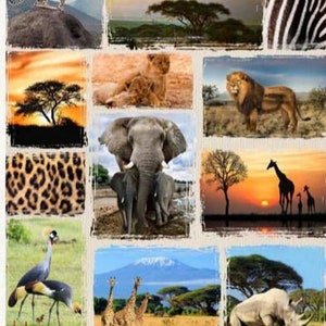 Puede incluir: Un collage de imágenes que representan diferentes aspectos de la sabana africana. El collage incluye imágenes de leones, jirafas, cebras, elefantes, leopardos y otros animales salvajes. Las imágenes están dispuestas en una cuadrícula y están rodeadas por un borde blanco. El texto "Q4492 565-Savannah 24" x 43" es visible en la parte inferior del collage.