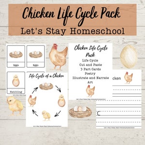 Chicken Life Cycle Mini Unit| Chicken Life Cycle Bundle| Chicken Life Cycle Lesson| Montessori Chicken Life Cycle