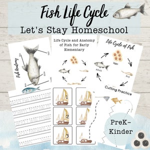 Fisch Lebenszyklus und Anatomie Mini Einheit | Fisch Preschool Pack