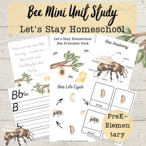 Bee Mini Unit | Life Cycle of a Bee | Bee Anatomy | Bee Printable Pack